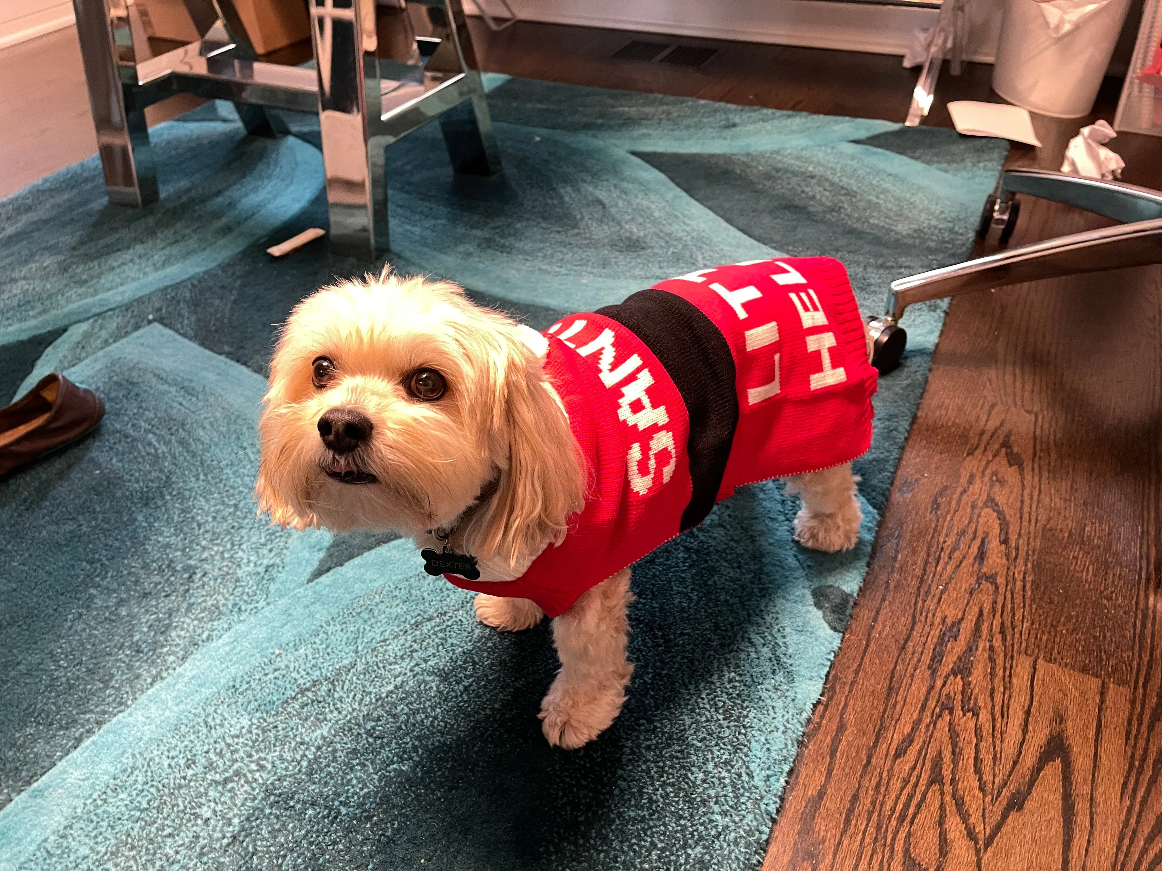 Santa's Little Helper Dog Sweater with festive Pom Pom